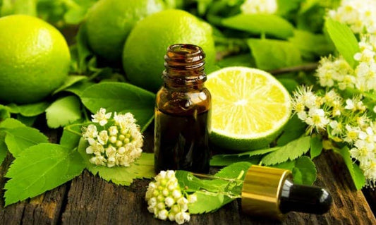 Which Essential Oils is good For Oily Skin